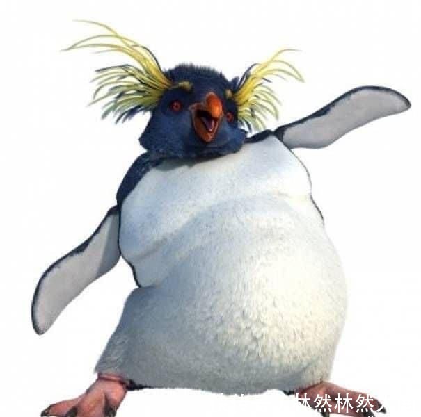  香奈儿|今年夏天被Jennie带火的平价饰物，最低65块钱即能变人间香奈儿