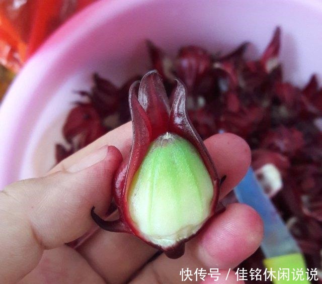 大概一|洛神花果脯,自制零食小吃