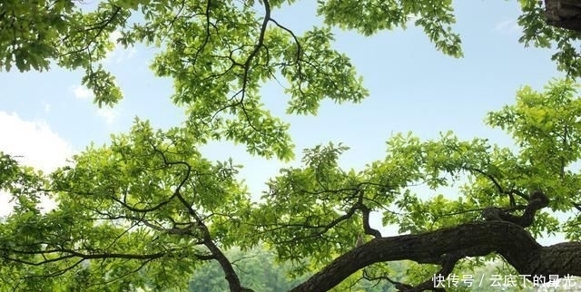 未来|经典好文:过去不回头,未来不将就