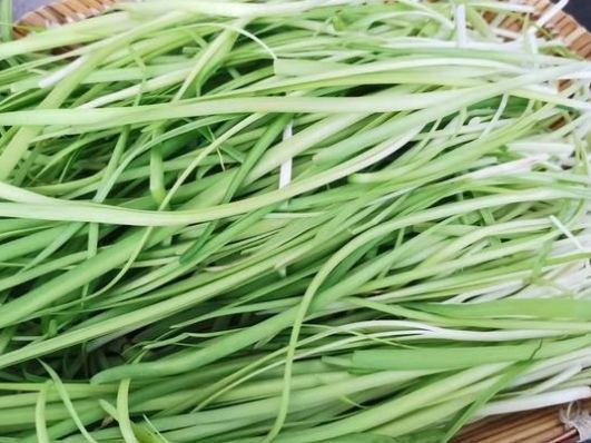  受欢迎|纯素馅饺子好吃有诀窍，调馅时加点它，又鲜又香，比肉饺子受欢迎