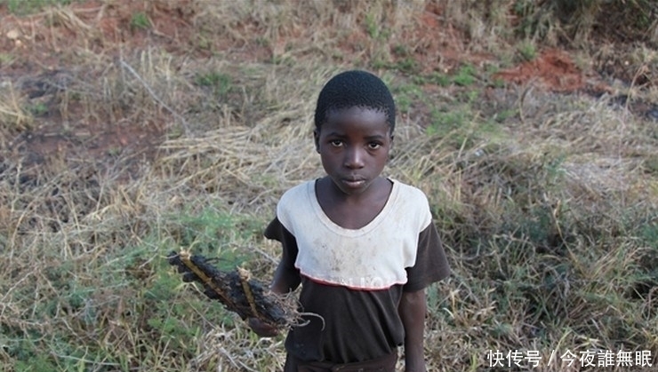 图片来自网络|这里的孩子早早辍学，每天去田里抓老鼠只为一种美味