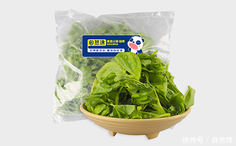 野餐|抓住秋季的尾巴,去野餐吧!