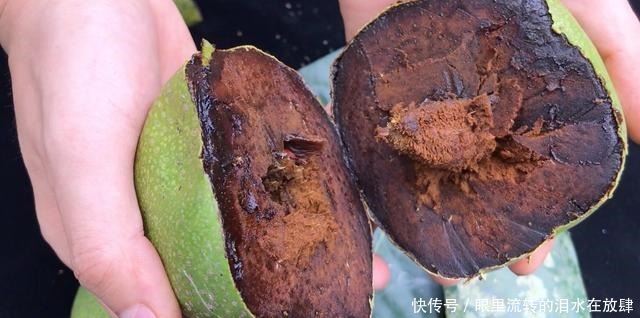 哪种|水果界的“李佳琦”,吃遍3000多种水果,哪种最好吃