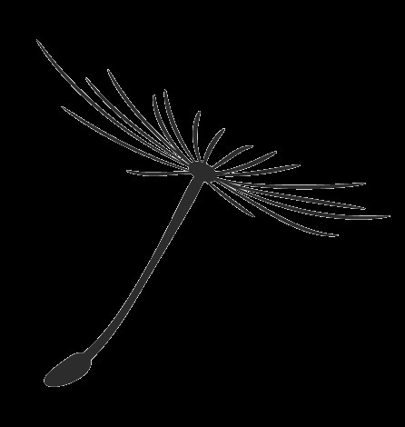 消费贷款|这个比传销更狠，它正在摧毁年轻人