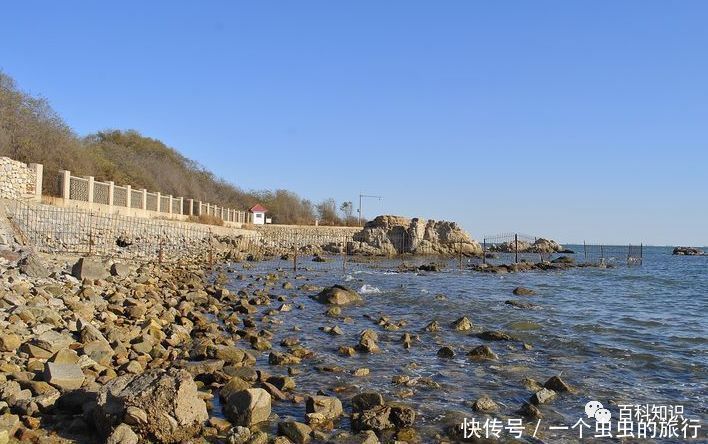 求仙|秦始皇的“求仙入海”处