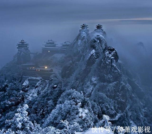 角色|综艺当道下的明星生存