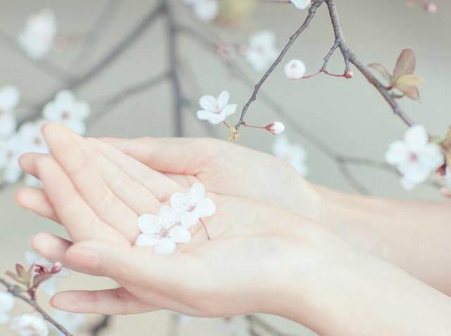 别人|憎恨别人对自己是一种很大的损失!