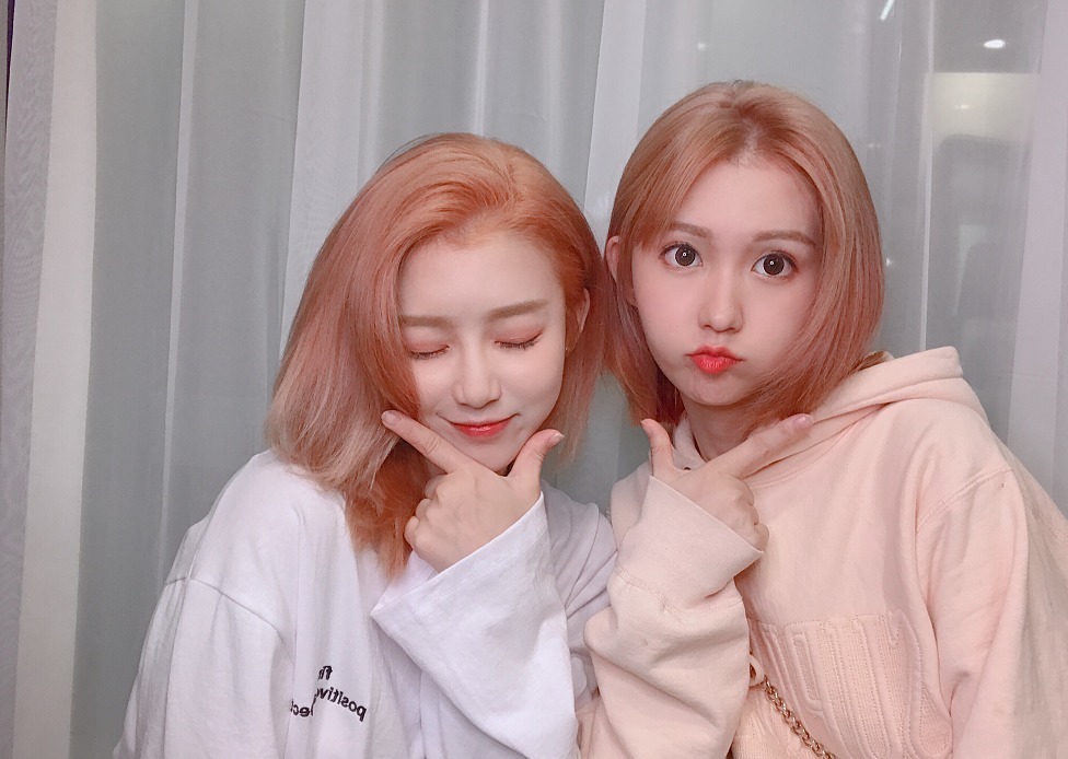  pick|《创3》林君怡姐姐被pick，因故未能参加比赛，刚从北电毕业