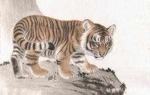  苦尽甘来|属虎人：家财万贯，苦尽甘来，财富不断找上门！