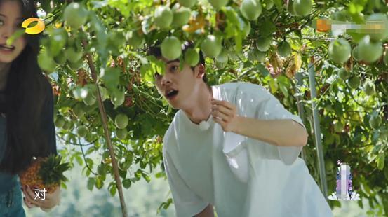 欧阳娜娜|《向往》本季最尴尬嘉宾,全程手足无措难插话,不光陪笑还没镜头