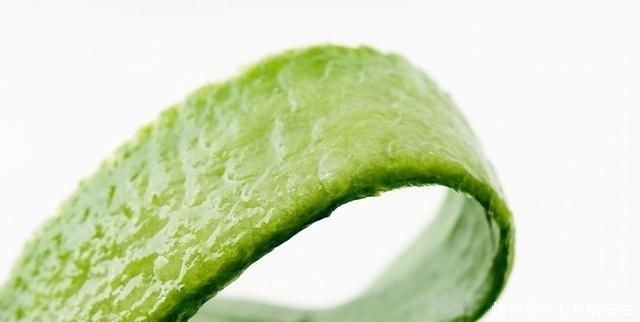 健康|分享几道素菜美食,清理肠胃,营养简单,越吃越健康