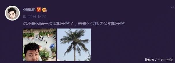 椰子树|彭昱畅爬完椰子树后,那把刀取下来没有?《向往的生活》导演回应了
