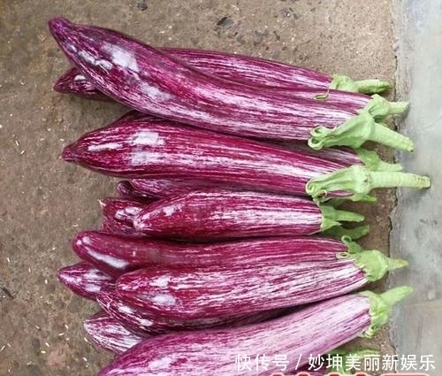 口感和味道|还在纠结买白茄子还是紫茄子?试试花茄子吧,据说吃起来跟肉一样