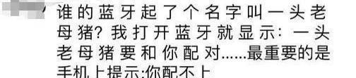 憨憨的|“你想不想夜入两千？”骗子被反骗，哈哈现在的骗子都这么憨憨的
