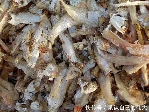 催产|30年前农村很多,油捞是绝品,8年前催产82万只,如今又濒临灭绝