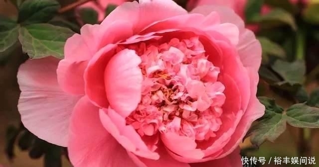 有钱|不花心的3生肖男,一辈子只爱老婆,有钱用来养家从不变坏