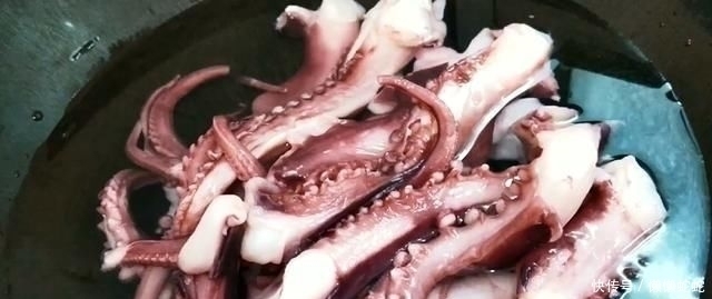 好吃|章鱼须这样做太好吃了,香嫩入味,麻辣爽口,好吃到停不下来