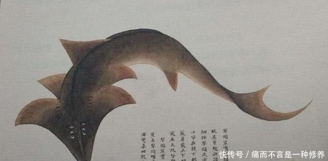 古人|为什么古人把“海鲜”称为“海错”?谈谈中国人吃海鲜的历史