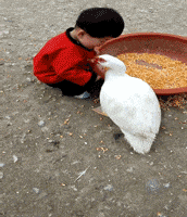 GIF|搞笑GIF:公司发现一漂亮的女工