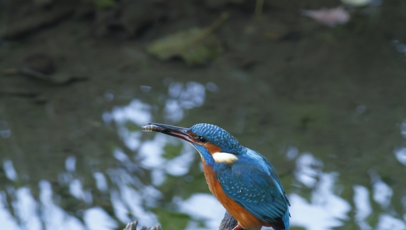 得失|感情中随心所欲,不计较得失,只向往真爱的4大星座