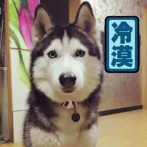 爬山|玩家分享一起爬山呀武林江湖的那些山巅美景~