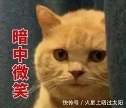 对方|7.7万!不吹牛,这是我假期当“客服”的最低收入