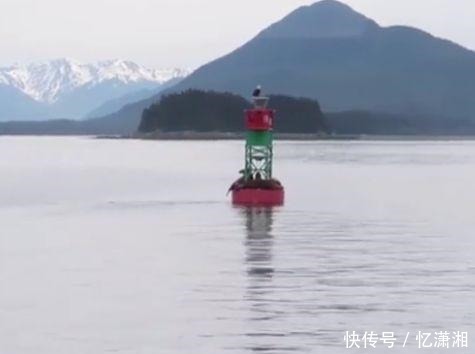 回归|去年中1亿的锦鲤信小呆，信用卡被刷爆，最终还是选择回归工作