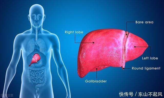 乙肝|乙肝治疗最怕陷入误区,这5大禁忌事项一定要避开