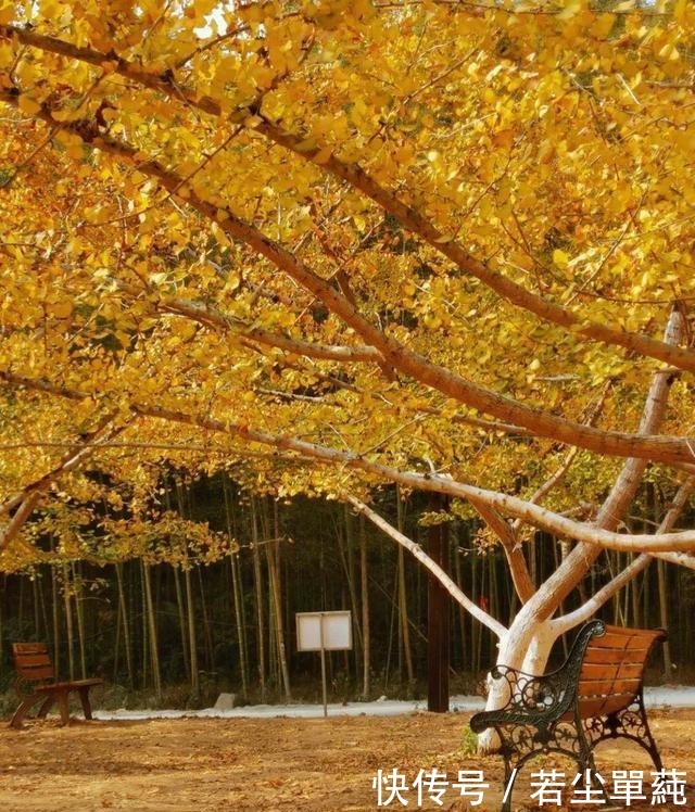 小城|广东人不能吃辣这座距省会1小时的粤北小城,能把你辣的头掉!