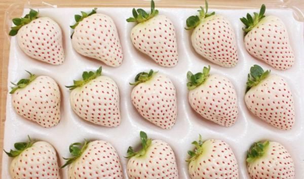 零食|男生眼中4种“奢侈”的零食,只有真爱才会买,多数女生都没吃过