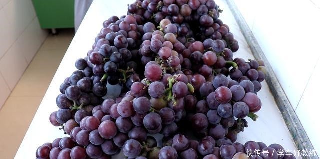 浓郁|教你在家酿葡萄酒,口感香醇,酒香味浓郁,没有任何添加剂