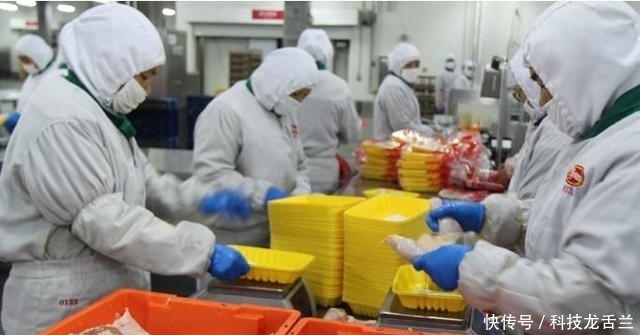 为啥|一只鸡就两条腿,肯德基鸡腿为啥能供应不断,带你去养鸡场看看