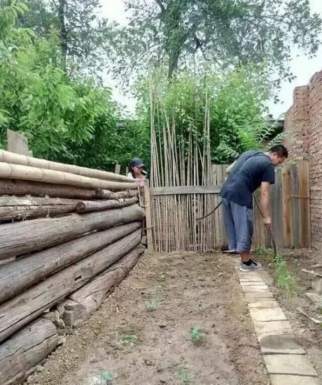 小院|20多岁的年龄差距,却把一个破烂的农家小院变成了“桃花源”