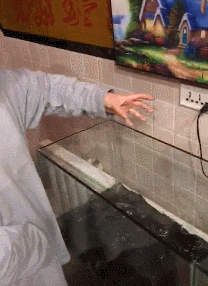  GIF|搞笑GIF：我喝了，你随意，不醉不归