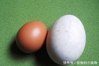  真的|5元一个鹅蛋，4元一斤鸡蛋，鹅蛋真的比鸡蛋好那么多吗？