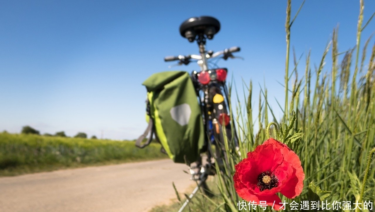 生活|老公给主播打赏,你怎么办?