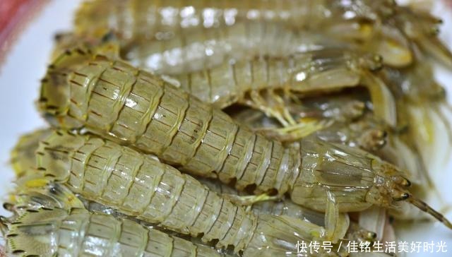 买到|挑选皮皮虾看两个地方就对了,学会后再也不怕买到不鲜的皮皮虾了