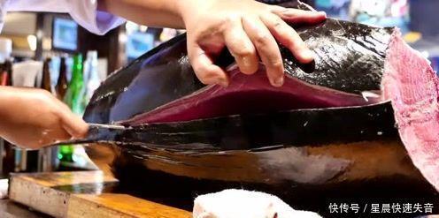 价值|全球最昂贵的鱼，一片就价值一两万，有钱还不一定吃的到