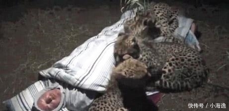 野营|男子野营不搭帐篷，夜深却感觉很暖和，好奇睁眼后又默默闭上了！