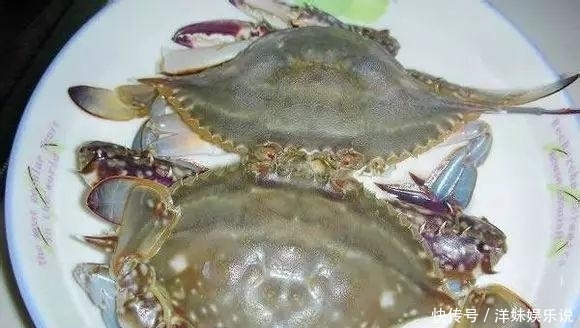 海鲜|海鲜大全, 你能认出多少