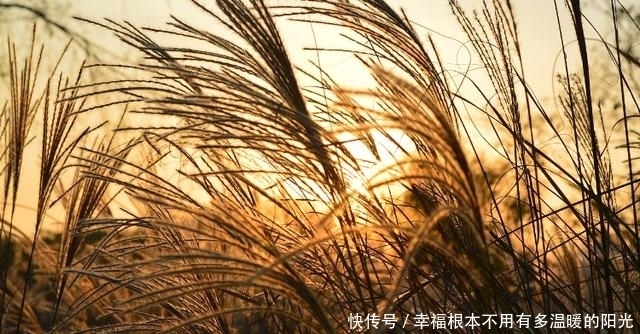 生活当中|自律为王，自带光芒的三大星座。做人不卑不亢，且从容优雅识大体