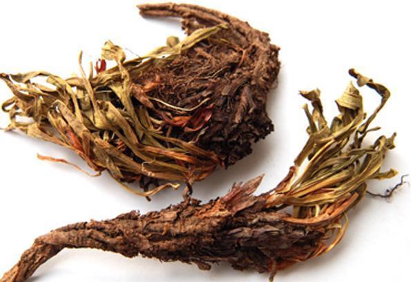 火锅|这种植物是火锅调味料之一,市场需求很大,目前市场价35元一斤