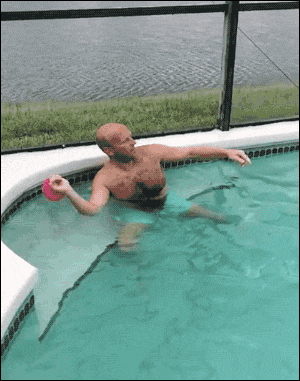 难道|搞笑GIF:这里面的难道是花生?我看着像,我回家带布袋!