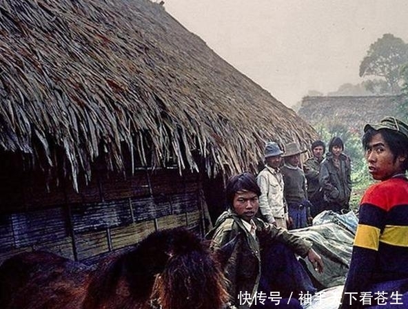  种植|金三角地区的老照片，曾经毒枭遍地，如今开始种植咖啡