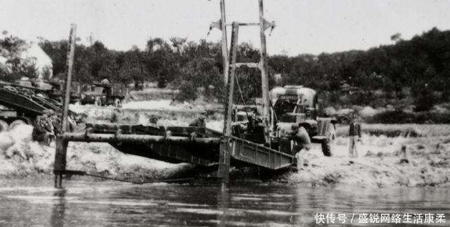  发生|揭秘1983年的蛇灾始末：一场大水过后的“雪上加霜”