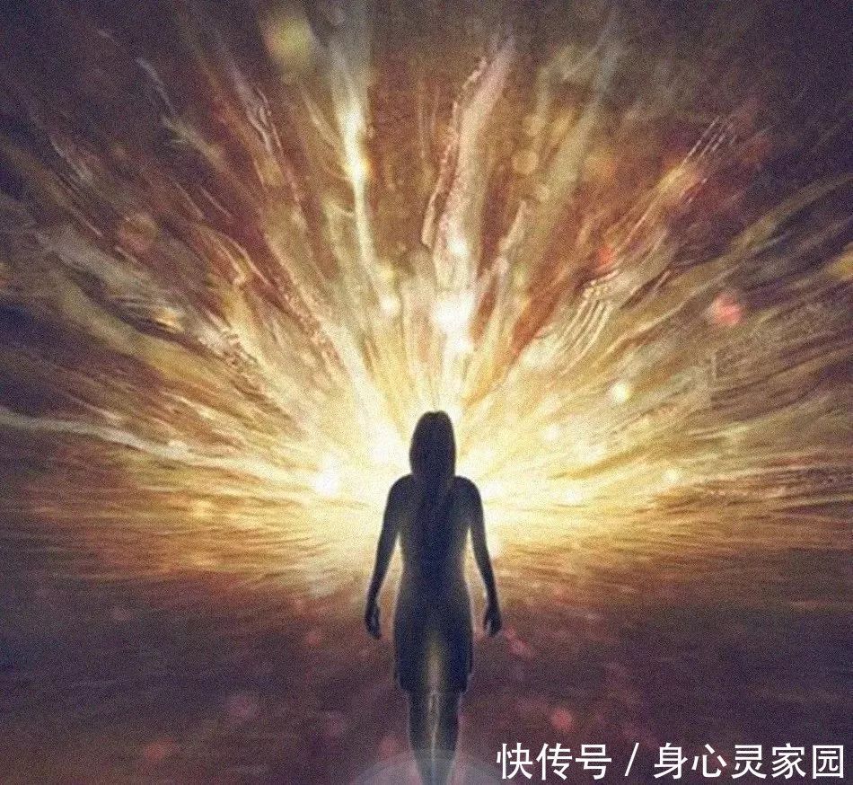 连接|九位开悟心灵导师谈:如何连接真正的美好