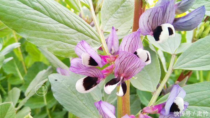 看不起|不要看不起别人做事,却羡慕别人的收获