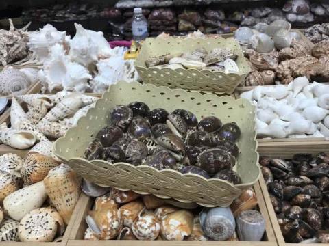 这家|这家店卖了3年的“假鲍鱼”,曝光后生意更好,顾客说出了原因