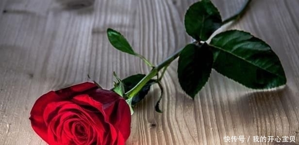 儿女|一个人一生中,有父母的痛苦,有爱人的陪伴,有儿女的孝顺,有知己的理解,就足够了