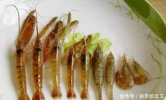 认出|海鲜大全, 你能认出多少